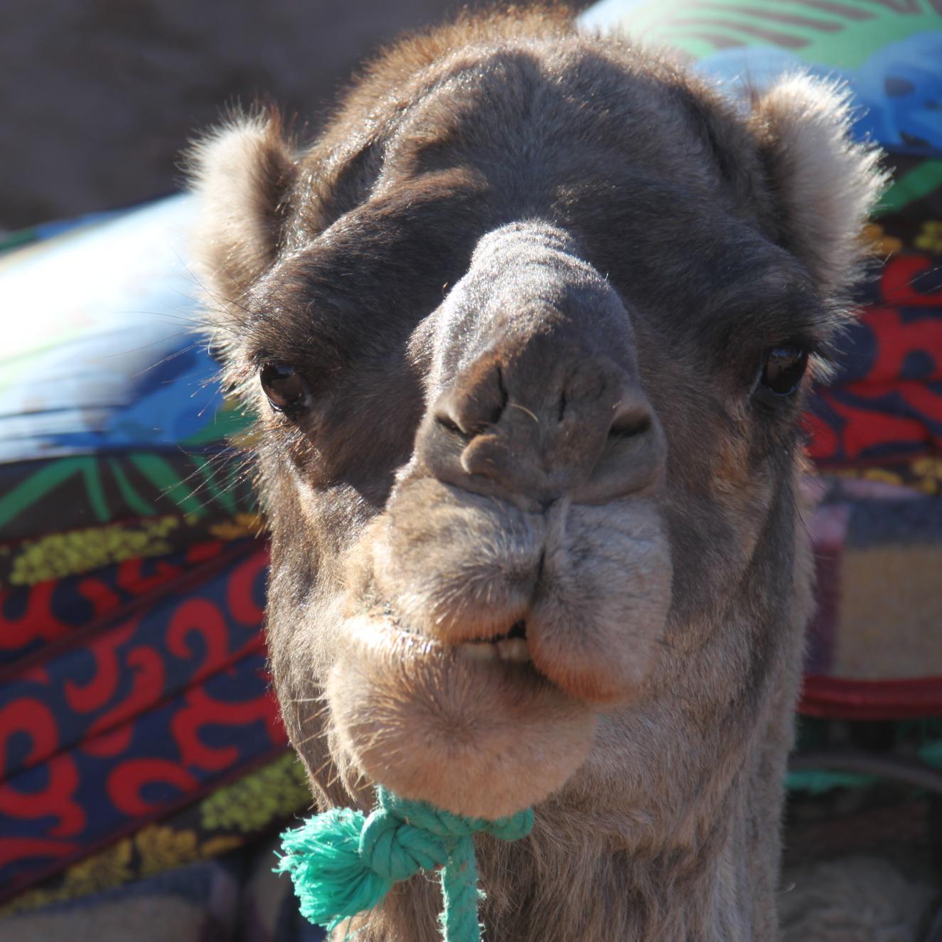 voyage au Maroc, séjour Maroc